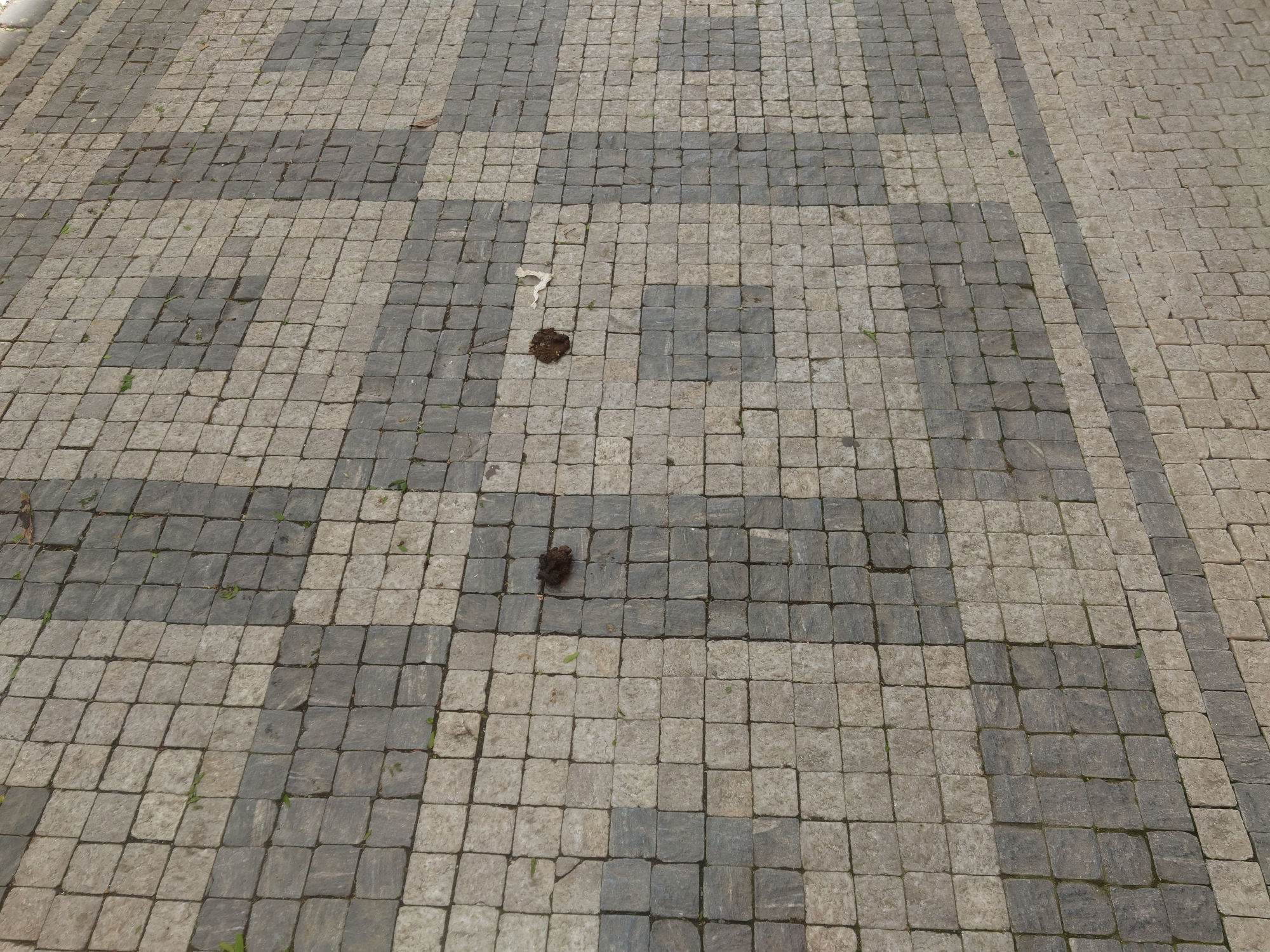 královské vinohrady královské vinohrady