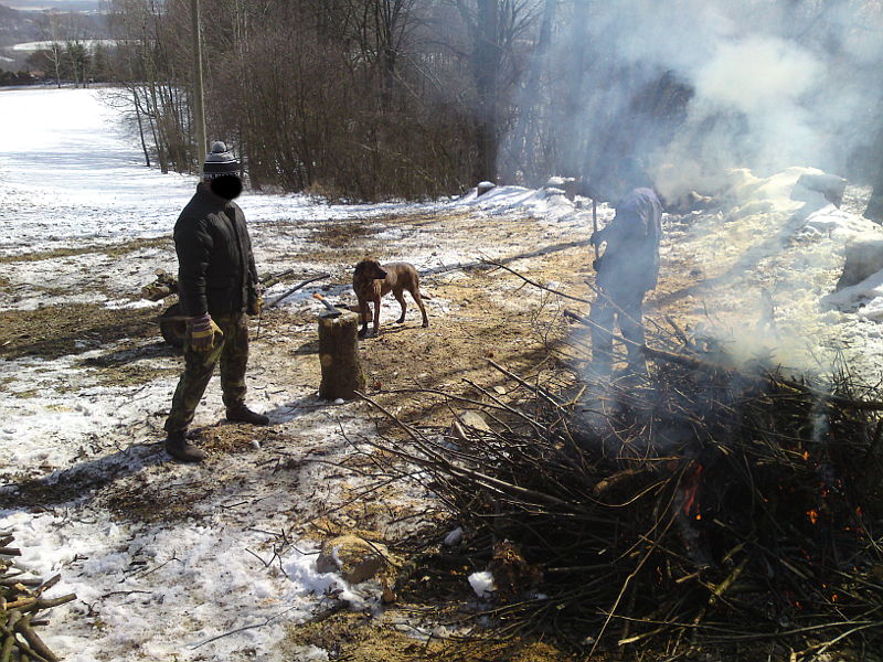 ho��c� klest�